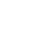 medal icon white