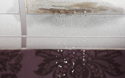 Early Warning Signs That You Need Water Leak Detection in Charlotte