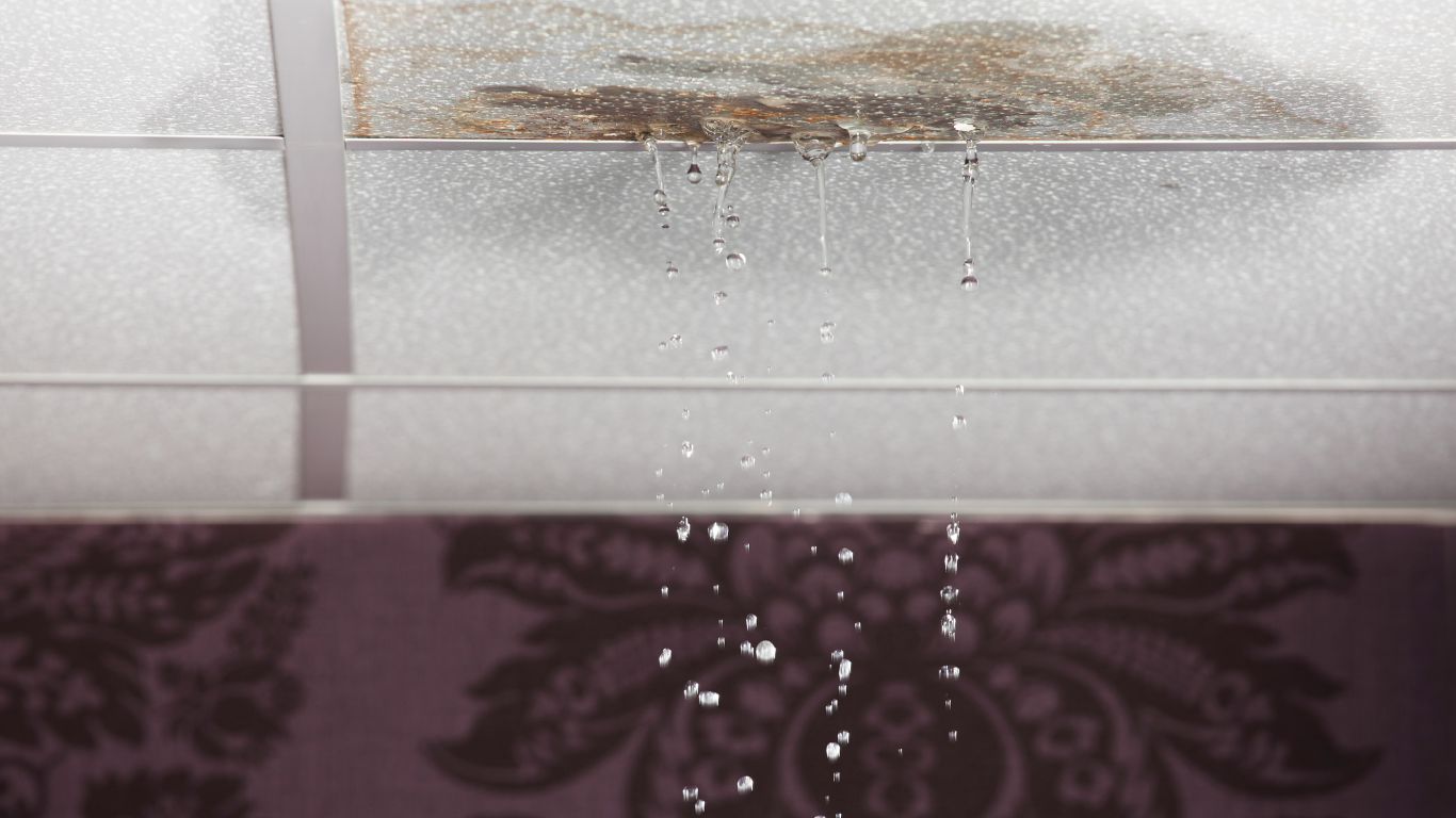 water leak detection charlotte