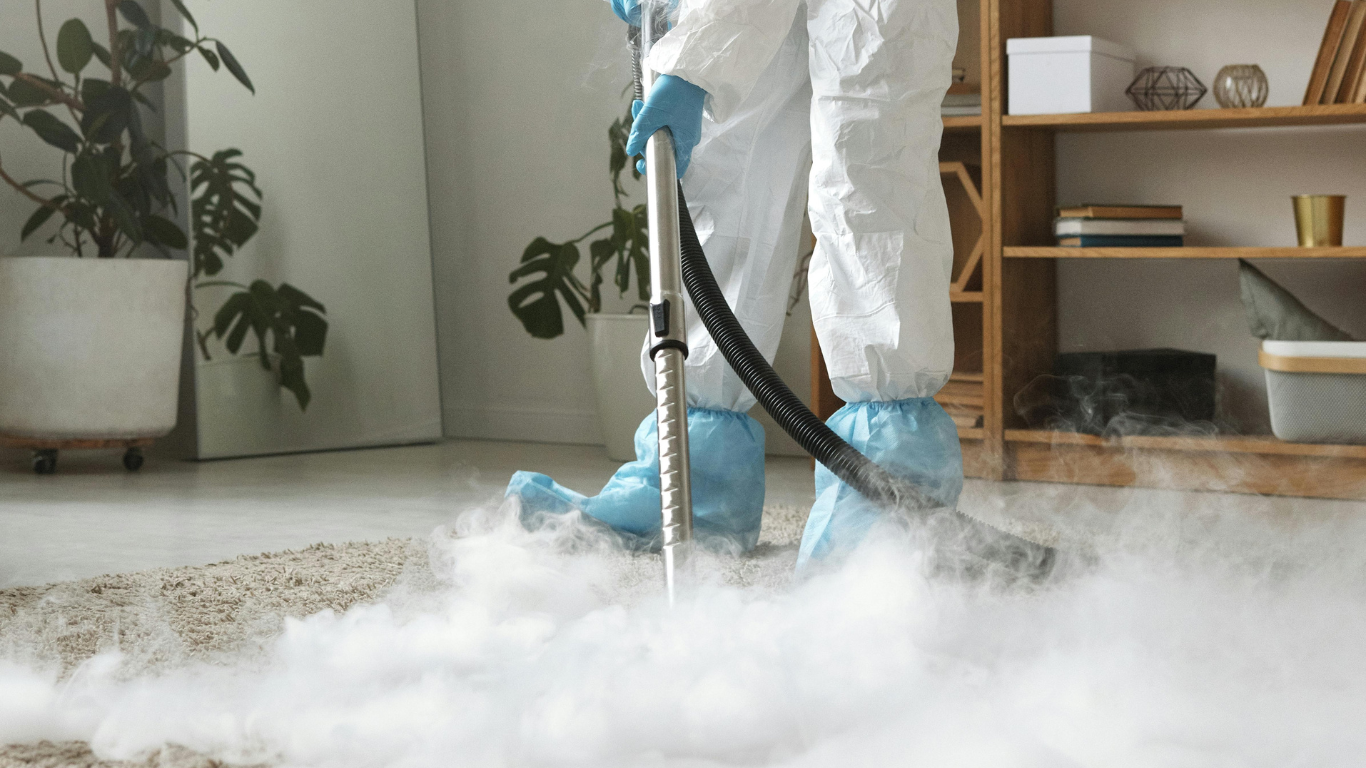 What Homeowners Should Know About Odor Removal in Huntersville odor removal huntersville