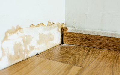 What Davidson Homeowners Need to Know About Water Damage