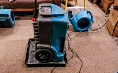 What to Know About Dehumidification Services in Huntersville